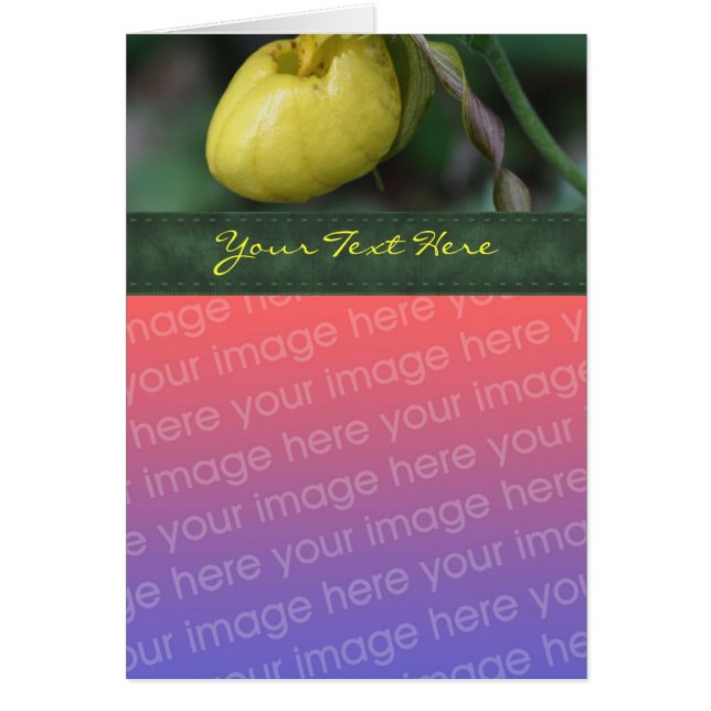 Yellow Lady Slipper Orchid Blume Foto Card (Vorne)