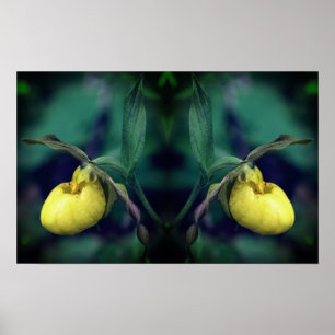 Yellow Lady Slipper Orchid Blume Mirror Abstrakt Poster