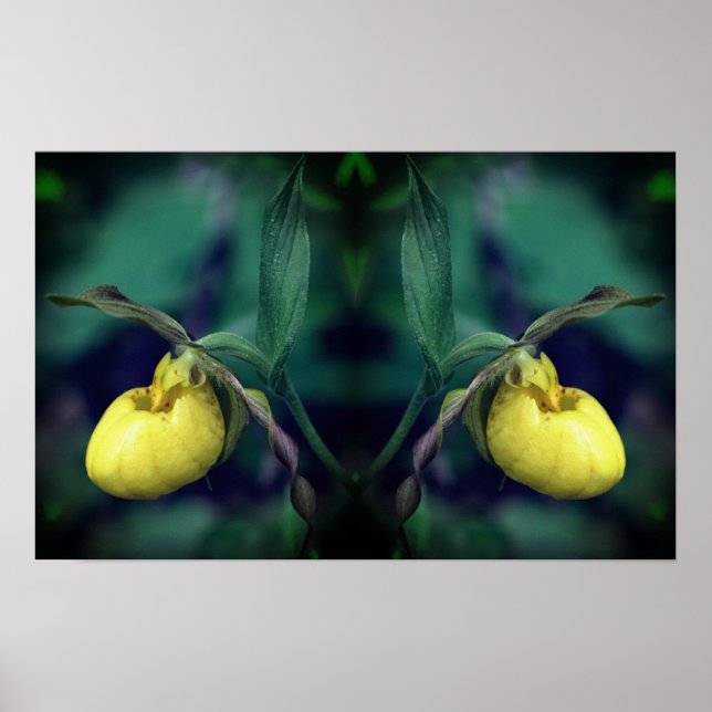Yellow Lady Slipper Orchid Blume Mirror Abstrakt Poster (Vorne)