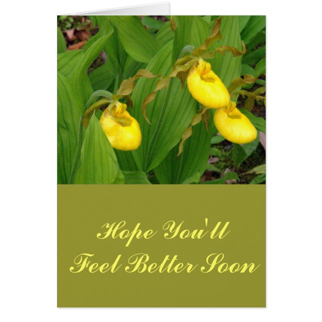 "YELLOW LADYSLIPPERS" /FLORAL FOTOG (Vorne)