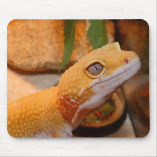 Yellow Leopard Gecko Mousepad