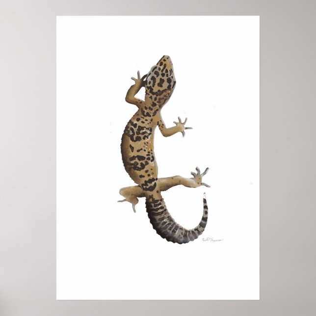 Yellow leopard gecko poster (Vorne)