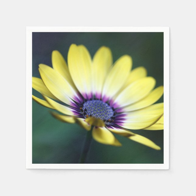 Yellow Lila Center Paper Napkin Serviette (Vorderseite)