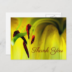 Yellow Lilie Abstrakt Floral Vielen Dank Postcard Postkarte