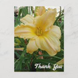 Yellow Lily Blume Danke, Postcard Postkarte