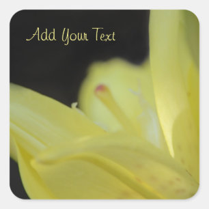 Yellow Lily by Shirley Taylor Quadratischer Aufkleber