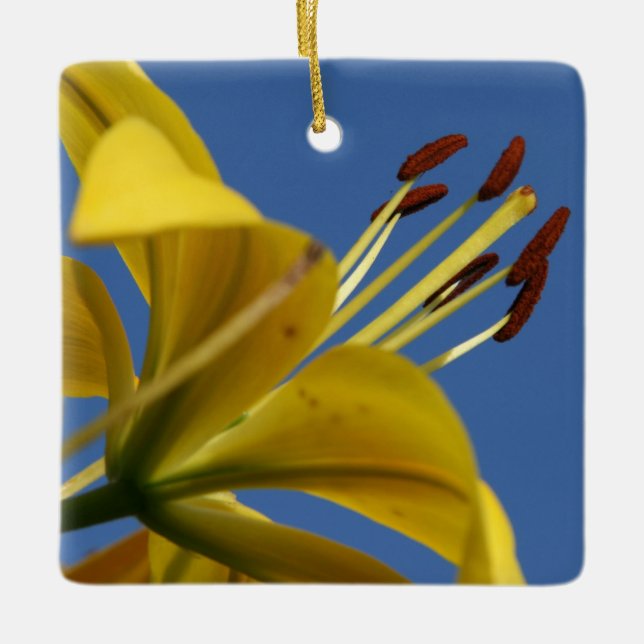 Yellow Lily Ornament (Vorderseite)