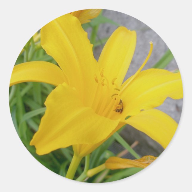 Yellow Lily Stickers (Vorderseite)