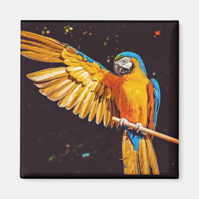 Yellow Macaw Parrot Magnet (Vorne)