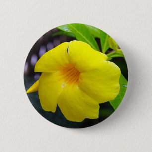 Yellow Mandevilla Button