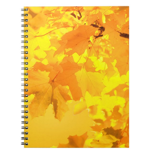 Yellow-Maple-Notebook Notizblock (Vorderseite)