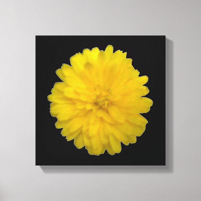Yellow Marigold Canvas Print Leinwanddruck (Vorderseite)
