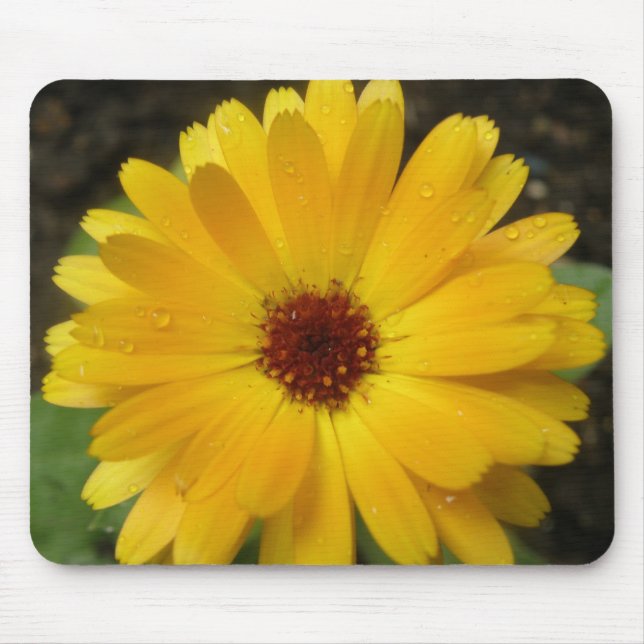 Yellow Marigold Macro Mousepad (Vorne)