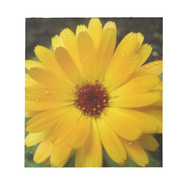Yellow Marigold Macro Notepad Notizblock (Vorderseite)