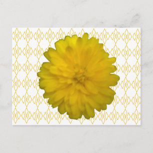 Yellow Marigold Postcard Postkarte