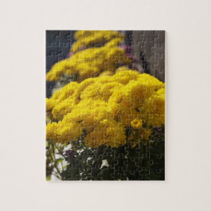 Yellow marigolds bask in sunlight puzzle