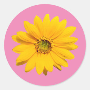 Yellow Mini Sonnenblume - Winzige Baby Sonnenblume Runder Aufkleber