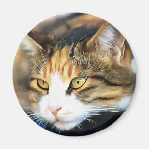 Yellow Mit Augen Calico Katze Realistisches Pet Po Magnet