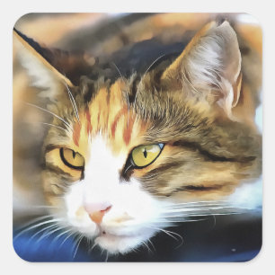 Yellow Mit Augen Calico Katze Realistisches Pet Po Quadratischer Aufkleber