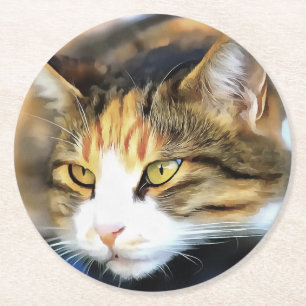 Yellow Mit Augen Calico Katze Realistisches Pet Po Runder Pappuntersetzer