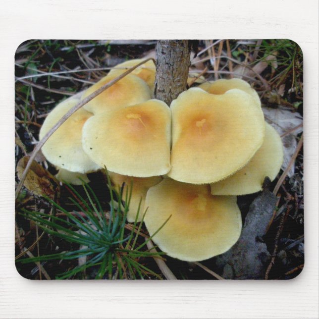Yellow Mushroom Colony OBX Mousepad (Vorne)