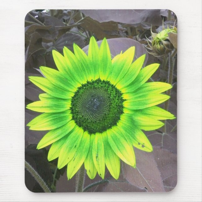 Yellow N Green Sunflower Mousepad (Vorne)