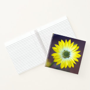 Yellow Osteopermum Journal-Notebook Notizbuch