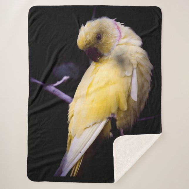 YELLOW PARAKEET SHERPADECKE (Vorderseite)