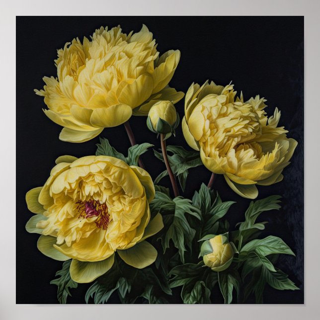Yellow Peongs Blume Art Print Poster (Vorne)