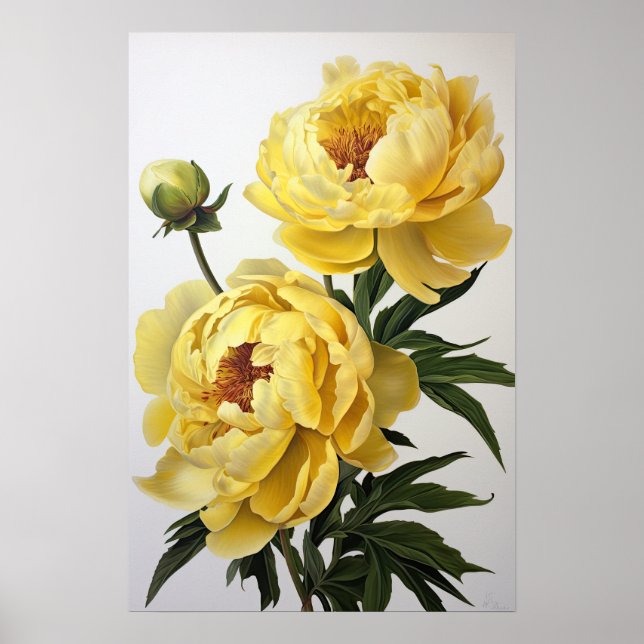 Yellow Peongs Blume Art Print Poster (Vorne)