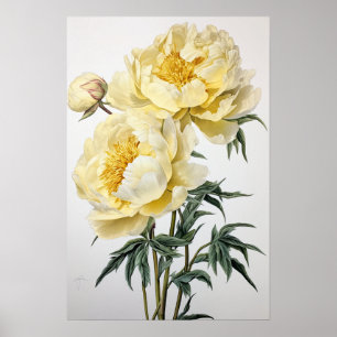 Yellow Peongs Blume Art Print Poster