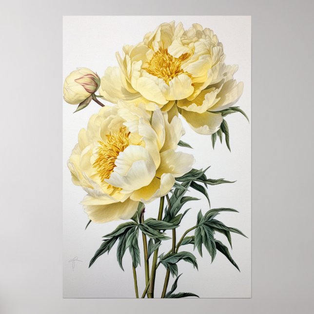 Yellow Peongs Blume Art Print Poster (Vorne)