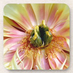 Yellow Peony.jpg Untersetzer