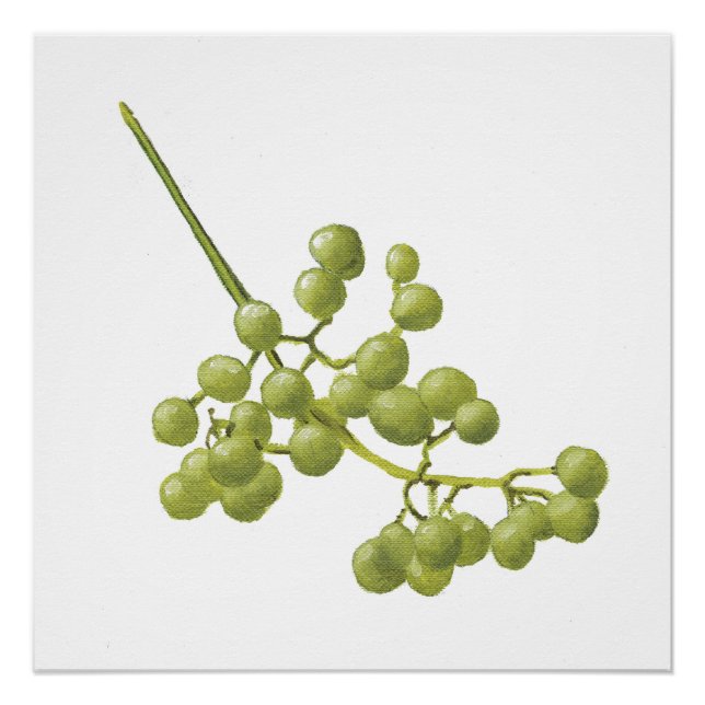 Yellow Peppercorns - Botanical Study 2 Poster (Vorderseite)