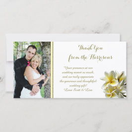 Yellow Plumeria Foto Wedding Danke