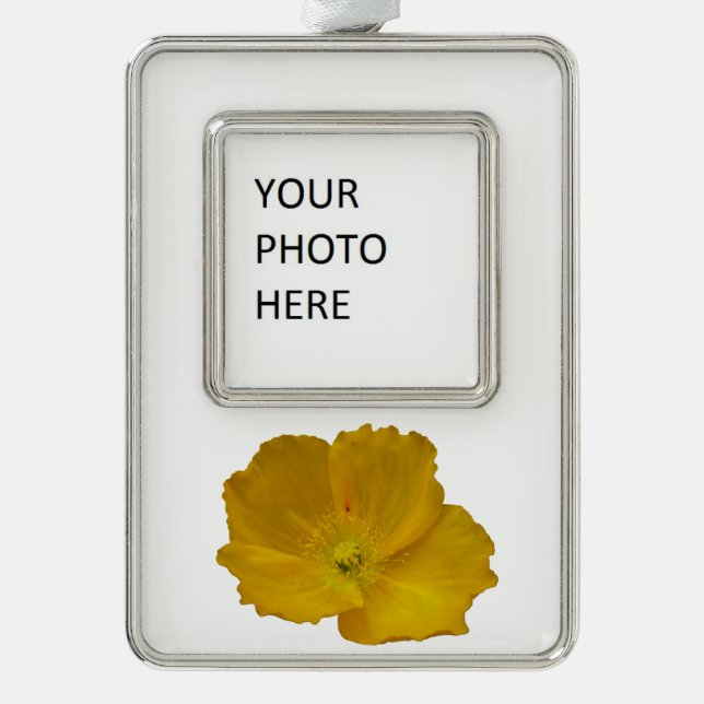 Yellow Poppy Alaskan Wildblume Floral Rahmen-Ornament Silber (Vorderseite)