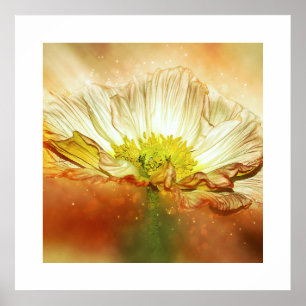 Yellow Poppy Blume Poster