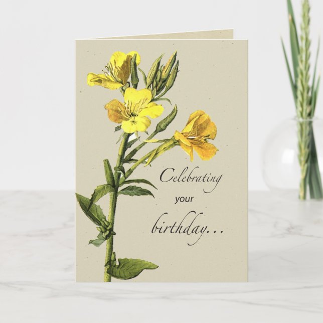 Yellow Primrose Birthday Karte (Vorderseite)