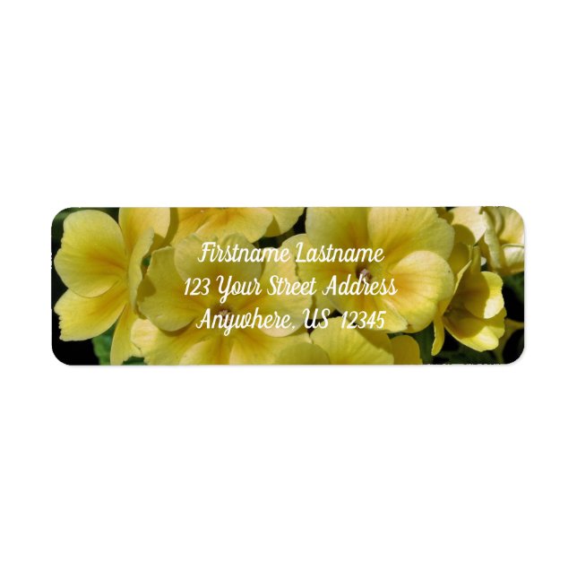 Yellow Primrose Spring Flowers Adresse (Vorne)