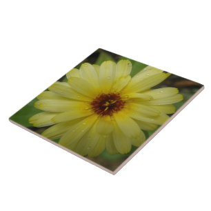 Yellow Raindrops Marigold Tile Fliese