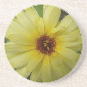 Yellow Raindrops Marigold Untersetzer