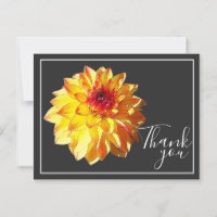 Yellow Red Dahlia mit grauem Hintergrund Vielen Da