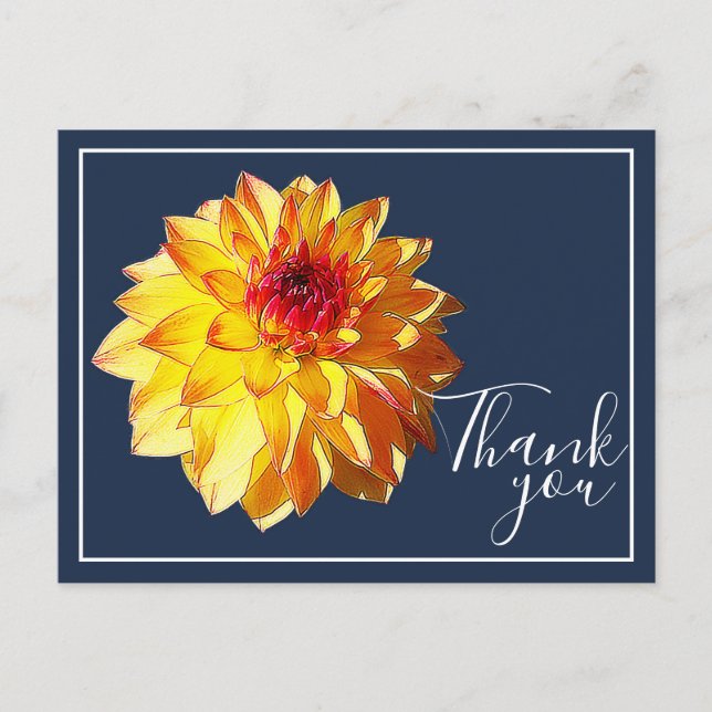 Yellow Red Dahlia mit Navy Hintergrund Danke Postkarte (Vorderseite)