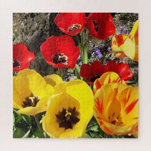 Yellow & Red Tulips Jigsaw Puzzle (Vertikal)