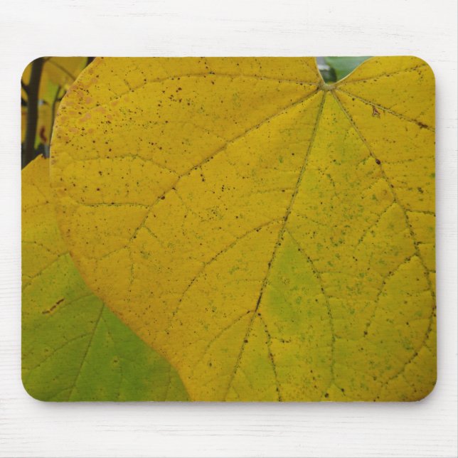 Yellow Redbud Verlasse Autumn Nature Fotografy Mousepad (Vorne)