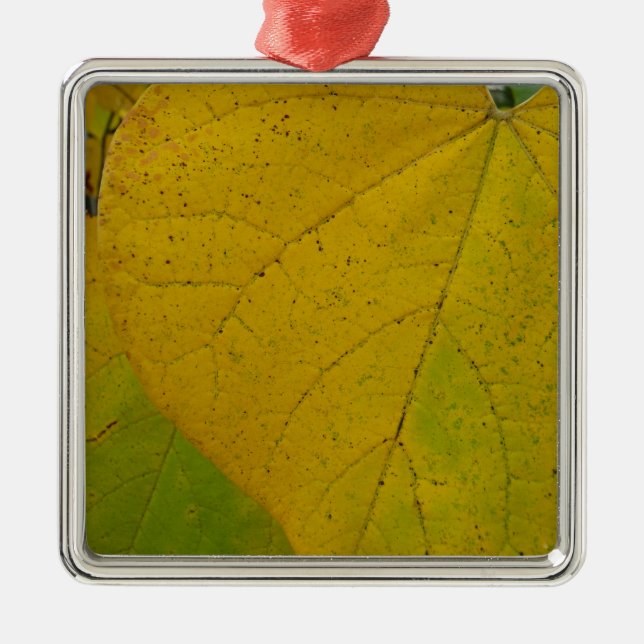 Yellow Redbud Verlasse Autumn Nature Fotografy Ornament Aus Metall (Vorne)