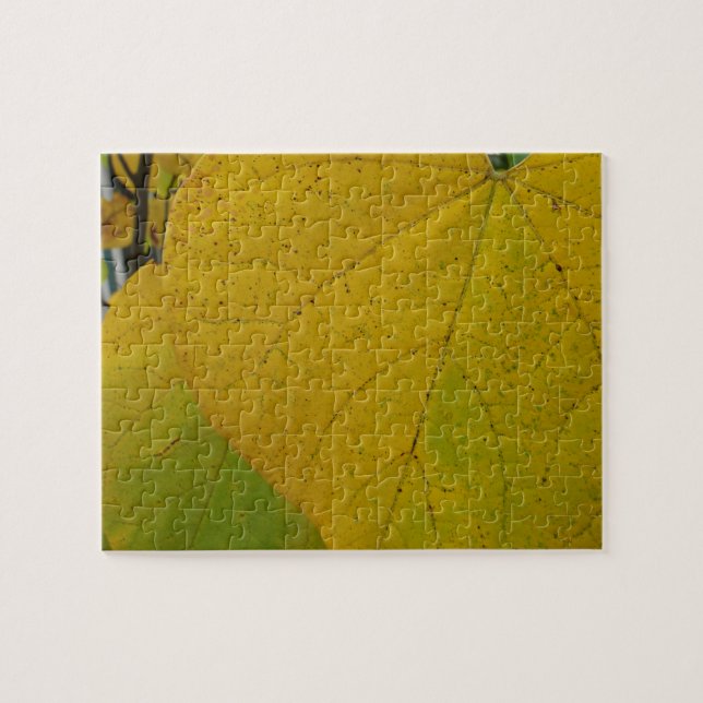Yellow Redbud Verlasse Autumn Nature Fotografy Puzzle (Horizontal)