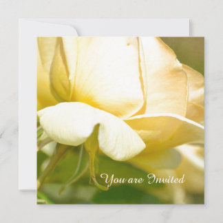 Yellow Rose Birthday Einladung