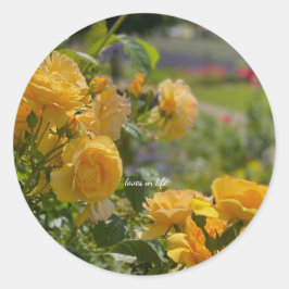 Yellow Rose Garden Runder Aufkleber