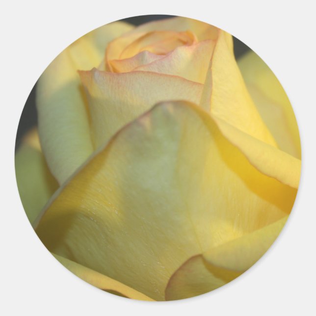 Yellow Rose Hochzeitsticker Runder Aufkleber (Vorderseite)